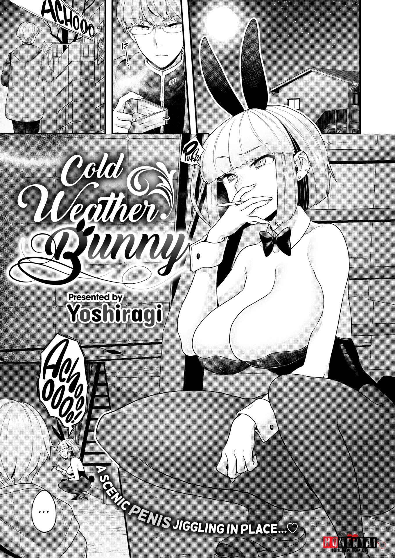 Cold Weather Bunny - 1