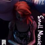 Genie Chronicles 03 mini 2