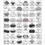 Bunbunmaru. Gensoukyou Ketsu Matsuri mini 3