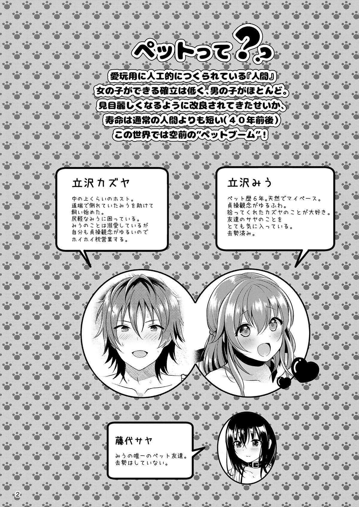 Pet Life ~Miu no Otsukai~ - 3