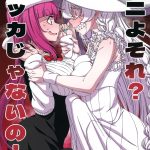 Nani yo Sore? Bakka janai no! | What’s That? Are you An Idiot!? mini 1