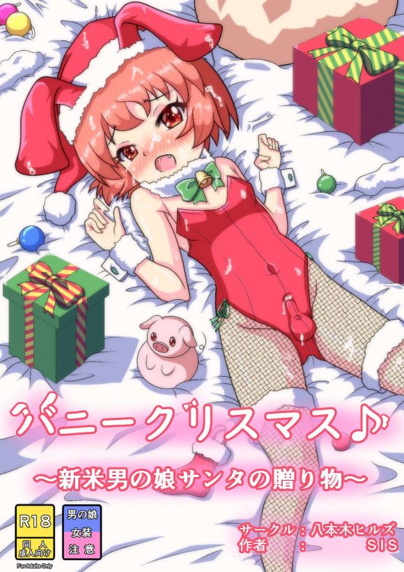 Bunny Christmas ~Shinmai Otokonoko Santa no Okurimono~